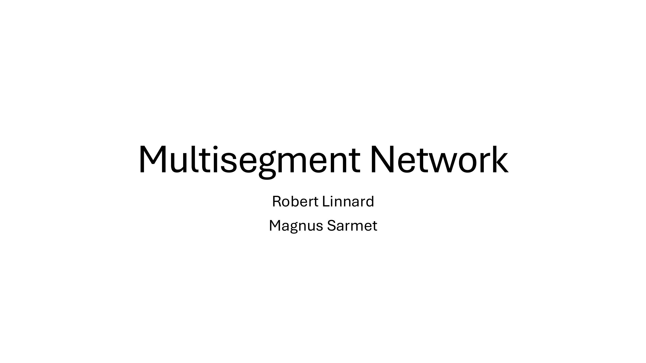 Multisegment Network, eelvaade